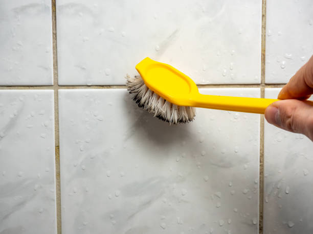 Best Mold Testing  in San Juan Pistrano, CA