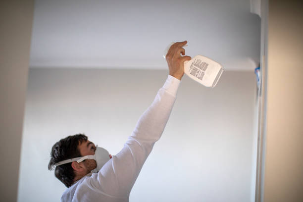 Best Professional Mold Removal  in San Juan Pistrano, CA