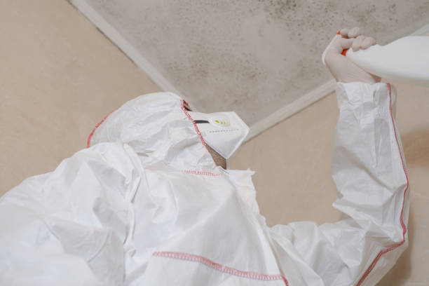 Crawl Space Mold Removal in San Juan Capistrano, CA