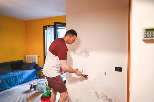 Home Mold Removal in San Juan Capistrano, CA